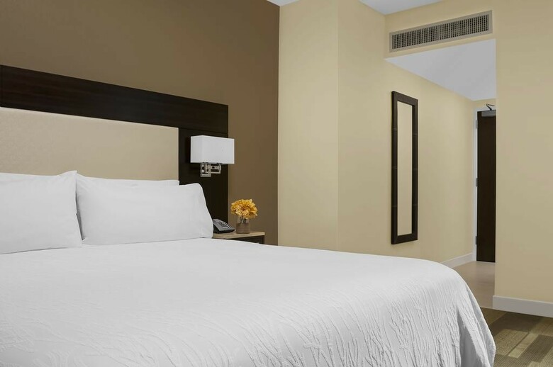 Hotel Hilton Garden Inn New York-times Square Central