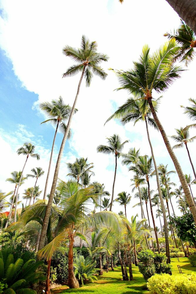 Hotel Majestic Elegance Punta Cana - Luxury All Inclusive