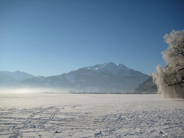 Hotel Seehof