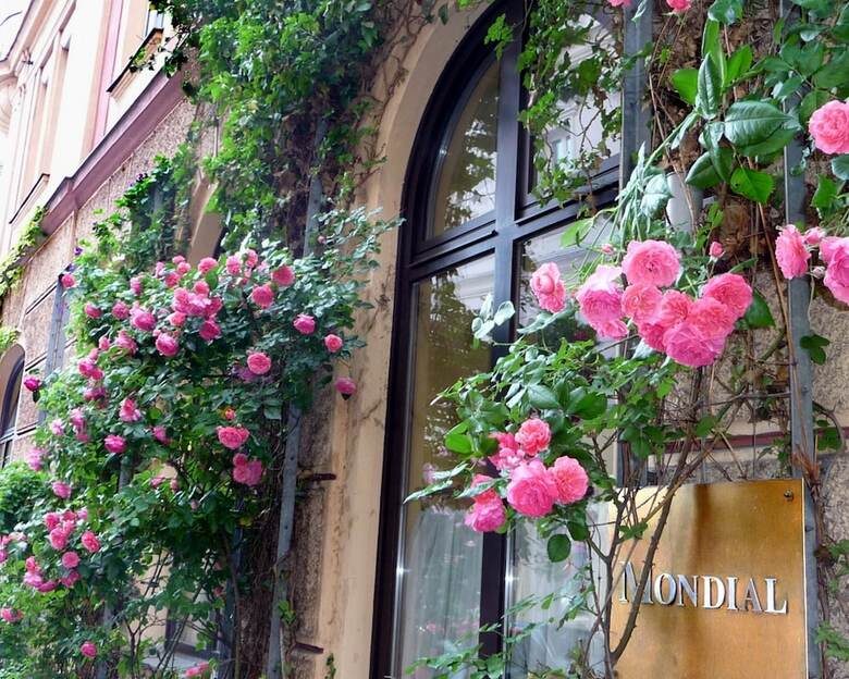 Mondial Appartement Hotel