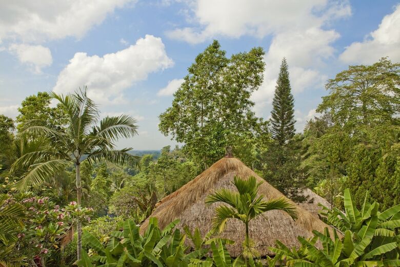 Hotel Uma Ubud