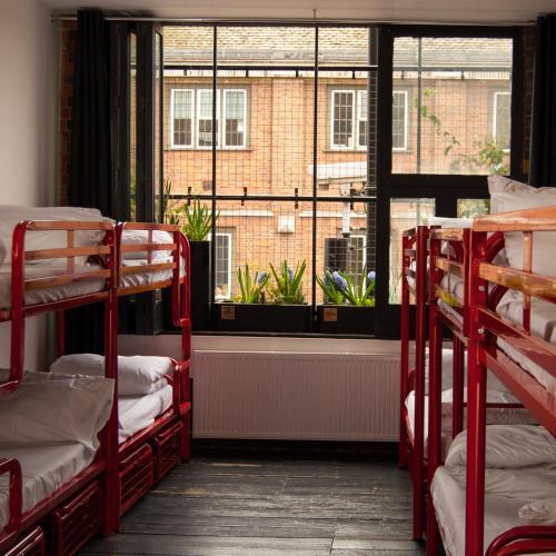 The Dictionary Hostel