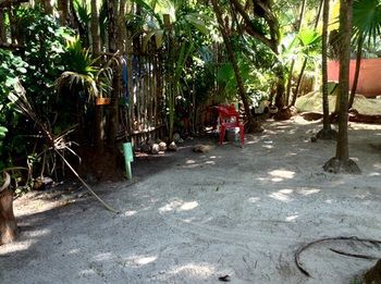 Albergue Cenote El Encanto