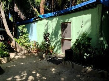 Albergue Cenote El Encanto