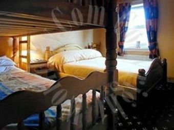 Twin Lions Hotel