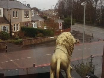 Twin Lions Hotel