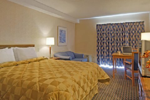 Hotel Comfort Inn Prince Albert