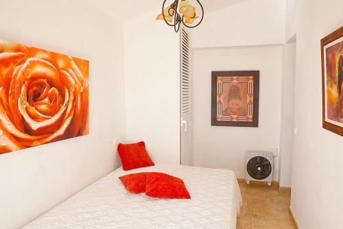 Euromar Bungalow Cubanito