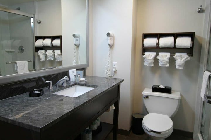 Hotel Hampton Inn & Suites Seattle-downtown