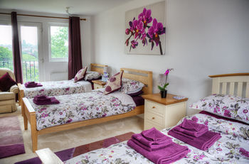 Bay Tree House B&B