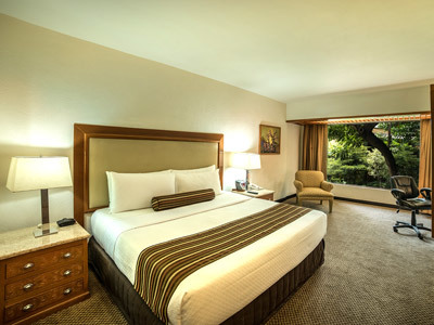 Hotel Wyndham Garden Guadalajara Expo