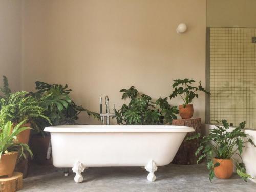 Bed & Breakfast Chaya B & B Boutique