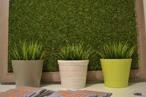 Hotel Green Domus