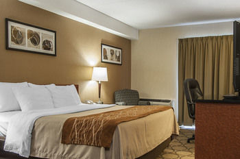 Hotel Comfort Inn