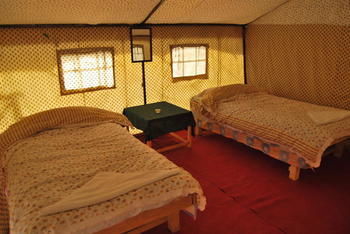 Mystique Meadows Camp
