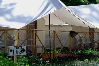 Mystique Meadows Camp