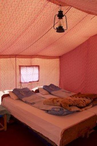 Mystique Meadows Camp