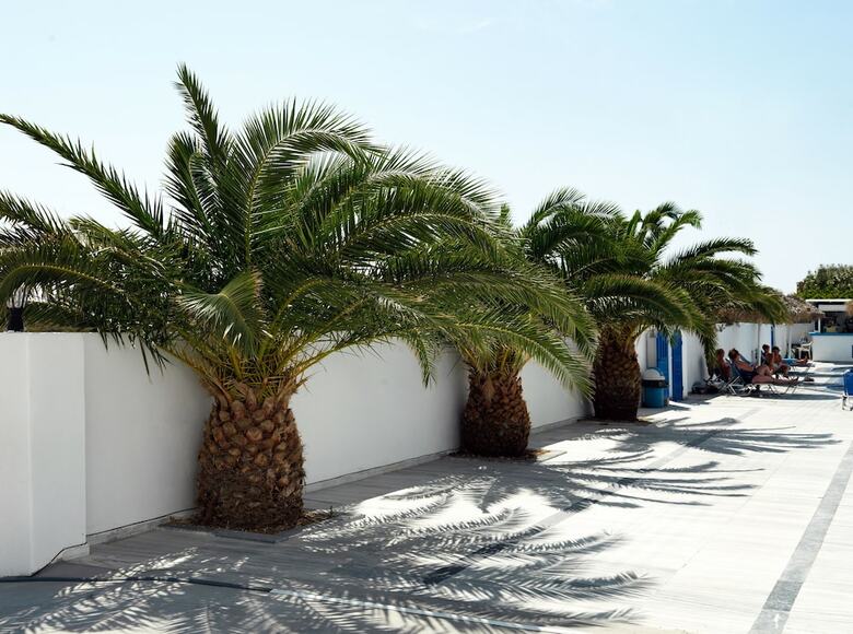 Hotel Villa Valvis