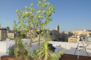 Hotel Prima Royale