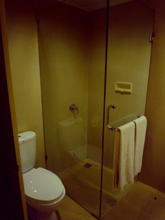 Hotel Casa Padma Suites