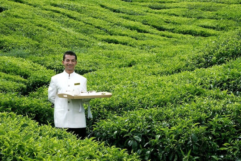 Hotel Cameron Highlands Resort