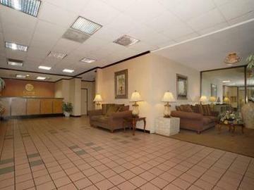Hotel Comfort Inn Suites Lax Airport