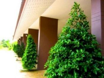 Hotel Pran Heaven Resort