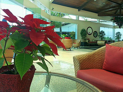Hotel Brisa Da Praia