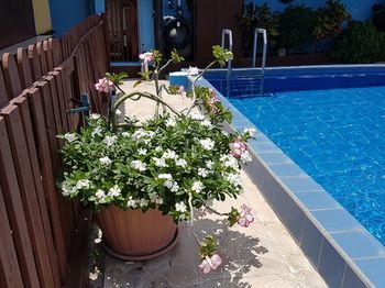 Hotel Apartamentos Cecil Paradise