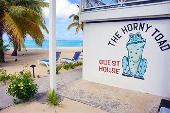 Apartamento The Horny Toad Guesthouse