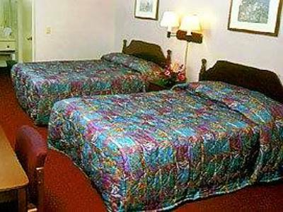 Hotel Castle Inn And Suites