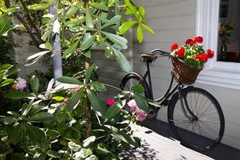Bed & Breakfast Cambria House
