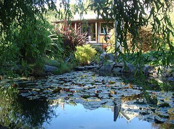 Hostal Joya Garden & Villa Studios
