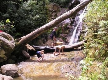 Agroturismo Nightingale Falls Farmstay Retreat