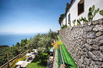Holidays Fico D'india