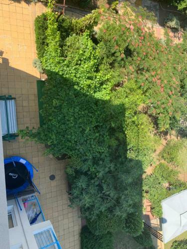 Hostal Lilia Guest House