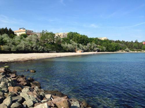 Hostal Lilia Guest House