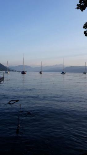 Zum Attersee