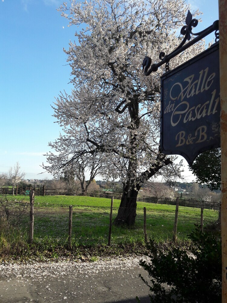 Bed & Breakfast La Valle Dei Casali
