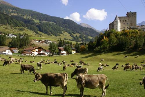 Hostal Pension Tirol