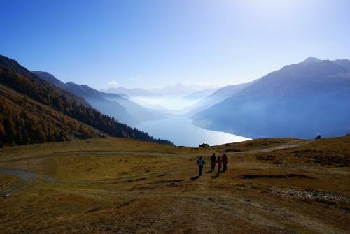 Hostal Pension Tirol
