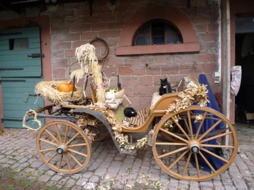 Agroturismo Ferienwohnungen Lindenhof