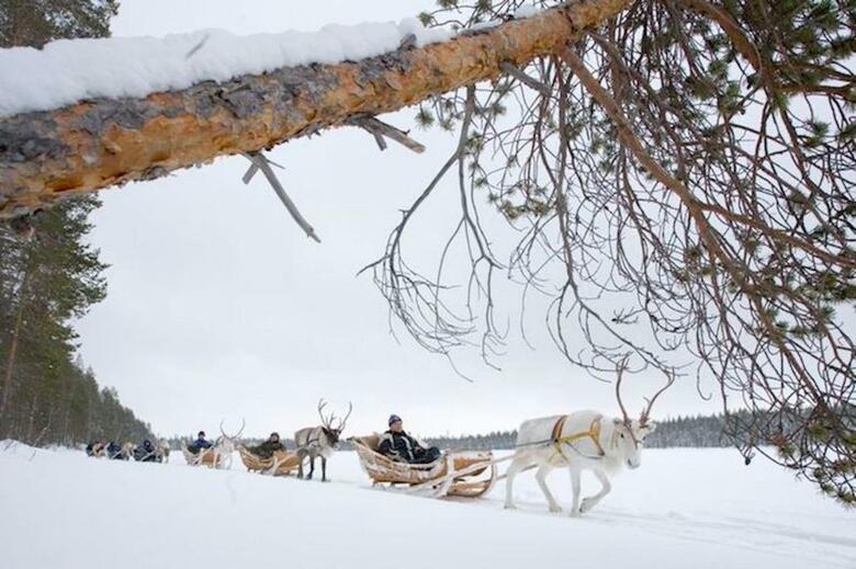 Lodge Paloj�rven Lomakeskus