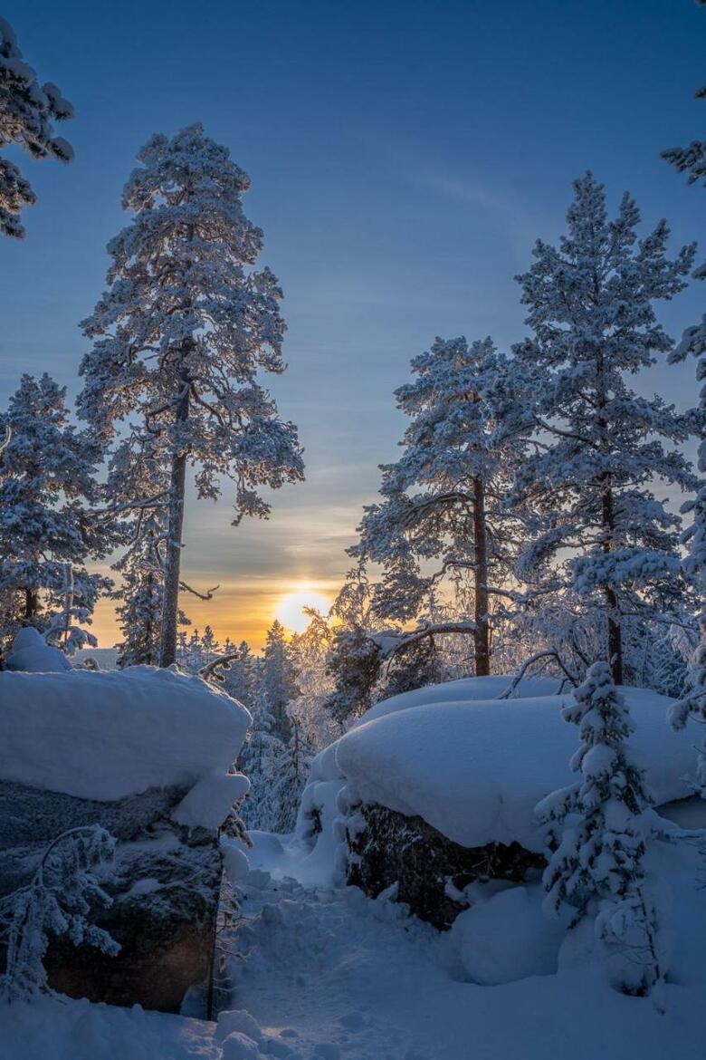 Lodge Paloj�rven Lomakeskus