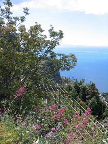 Bed & Breakfast L'eco Dell'800