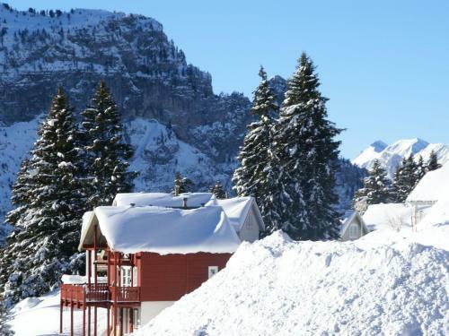 Chalet - Flaine