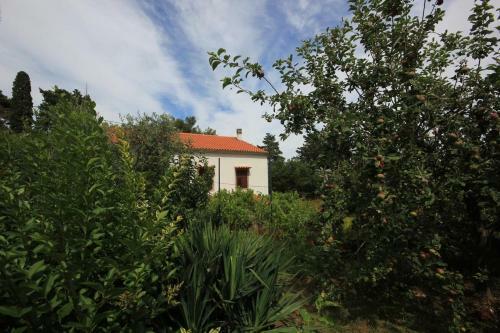 Apartments With A Parking Space Veli Losinj (losinj) - 8029