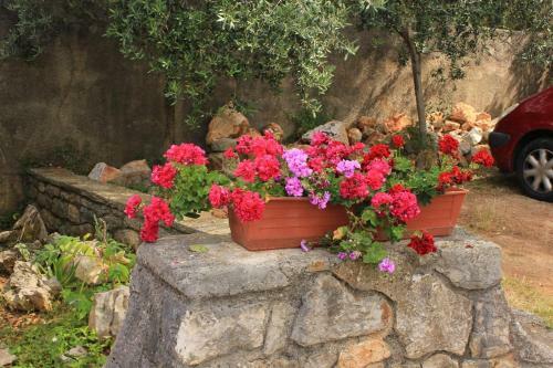 Apartments With A Parking Space Veli Losinj (losinj) - 8029