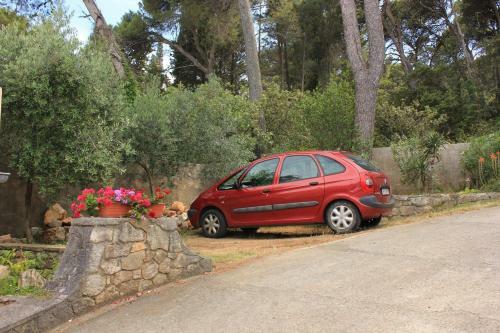 Apartments With A Parking Space Veli Losinj (losinj) - 8029