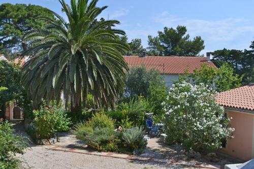 Apartments With A Parking Space Veli Losinj (losinj) - 8029